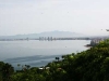 conchas-chinas-004